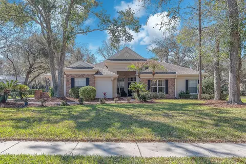 6109 Kingbird Manor Dr, Lithia, FL 33547