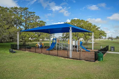 View/Area - 10334 Echo Dock Loop, San Antonio, FL 33576 photo 23 of 28