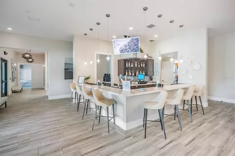 View/Area - 10334 Echo Dock Loop, San Antonio, FL 33576 photo 6 of 28