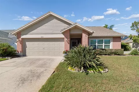 8626 Boysenberry Dr, Tampa, FL 33635