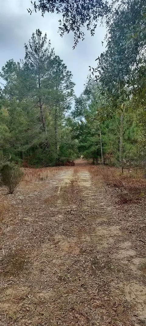 326 Elm Trl, Interlachen, FL 32148 photo 2