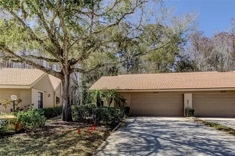 3020 Windmoor Dr, Palm Harbor, FL 34685
