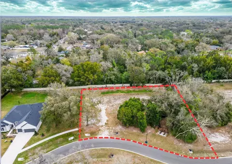 18469 Purple Creek Ln, Lutz, FL 33549