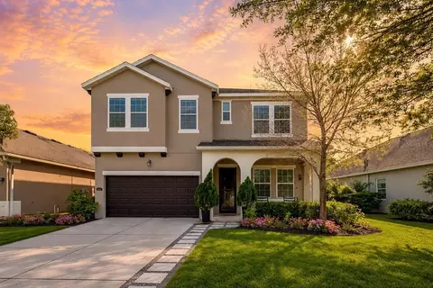 11403 Quiet Forest Dr, Tampa, FL 33635