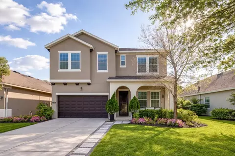 11403 Quiet Forest Dr, Tampa, FL 33635
