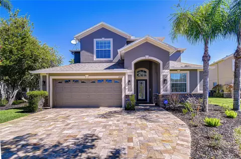 19914 Bluff Oak Blvd, Tampa, FL 33647