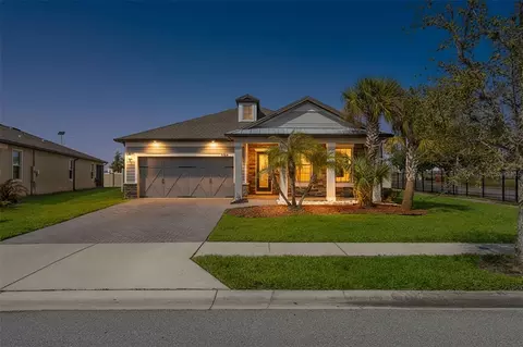 8184 Olive Brook Dr, Wesley Chapel, FL 33545