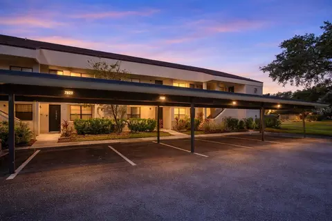 7830 Niagara Ave #303, Tampa, FL 33617