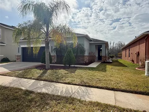 20265 Merry Oak Ave, Tampa, FL 33647