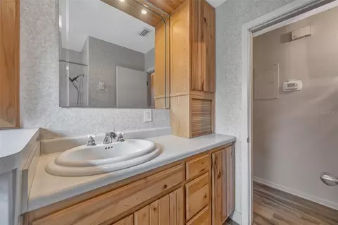 Bath - 6902 Potts Rd, Riverview, FL 33569 photo 9 of 10