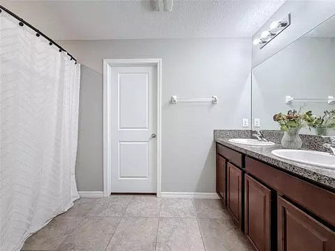 Bath - 12728 Lemon Pepper Dr, Riverview, FL 33578 photo 4 of 5