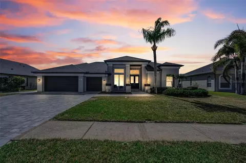 1151 Arlinbrook Dr, Trinity, FL 34655