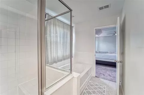 Bath - 12358 Streambed Dr, Riverview, FL 33579 photo 4 of 6