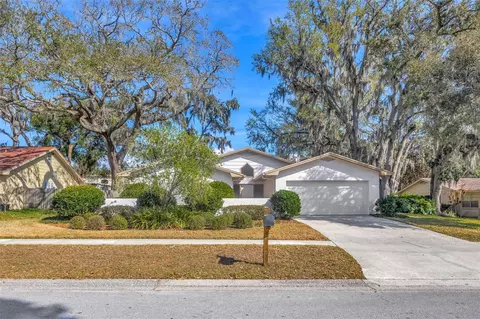 1011 Meadowcrest Dr, Valrico, FL 33594