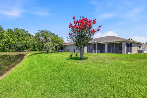 Exterior - 29338 Marker Loop, San Antonio, FL 33576 photo 4 of 7