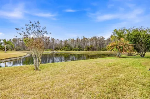 Exterior - 29338 Marker Loop, San Antonio, FL 33576 photo 7 of 10