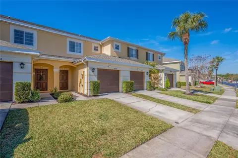 20408 Needletree Dr, Tampa, FL 33647