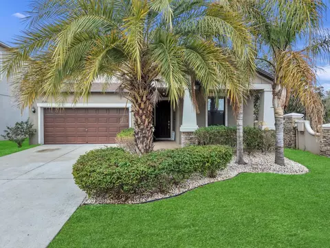 12203 Ballentrae Forest Dr, Riverview, FL 33579