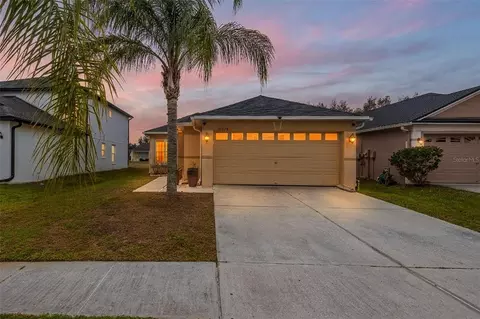 31228 Masena Dr, Wesley Chapel, FL 33545