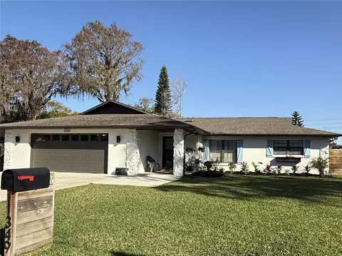 11349 Davison Ln, Tavares, FL 32778