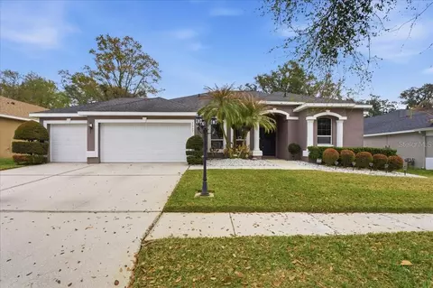 1007 Split Silk St, Valrico, FL 33594