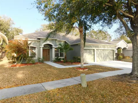 12902 Cattail Shore Ln, Riverview, FL 33579