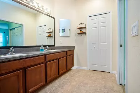 Bath - 317 Seneca Falls Dr, Apollo Beach, FL 33572 photo 3 of 4
