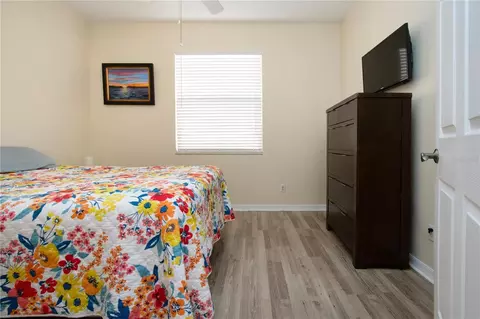 Bedroom - 317 Seneca Falls Dr, Apollo Beach, FL 33572 photo 7 of 7