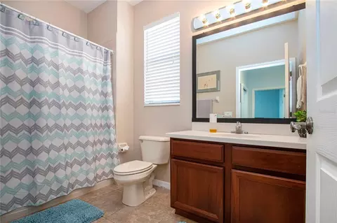 Bath - 317 Seneca Falls Dr, Apollo Beach, FL 33572 photo 4 of 4
