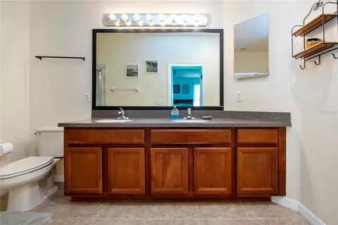 Bath - 317 Seneca Falls Dr, Apollo Beach, FL 33572 photo 2 of 4