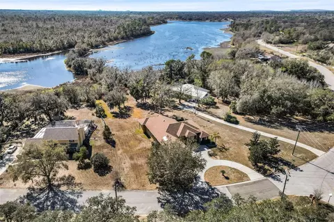 View/Area - 13101 Shadow Run Blvd, Riverview, FL 33569 photo 11 of 11