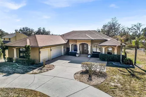 Exterior - 13101 Shadow Run Blvd, Riverview, FL 33569 photo 13 of 13