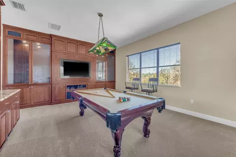 Other - 13101 Shadow Run Blvd, Riverview, FL 33569 photo 13 of 21