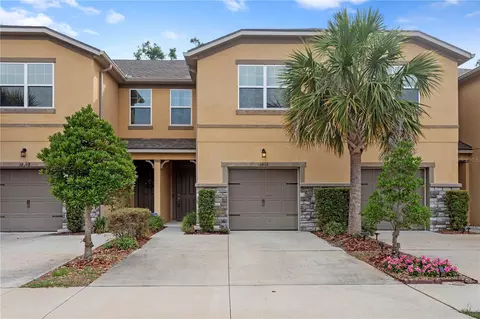14110 Damselfly Dr, Tampa, FL 33625