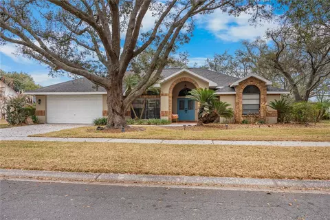 1619 Palace Ct, Valrico, FL 33594