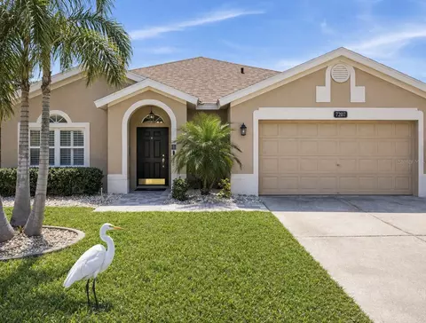 8740 Maple Pond Ct, Trinity, FL 34655