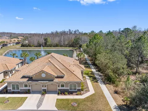 29800 Anand Vihar Dr, Wesley Chapel, FL 33543