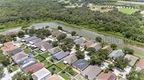 View/Area - 10039 Creek Bluff Dr, Riverview, FL 33578 photo 2 of 3