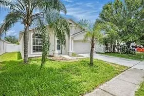 10039 Creek Bluff Dr, Riverview, FL 33578
