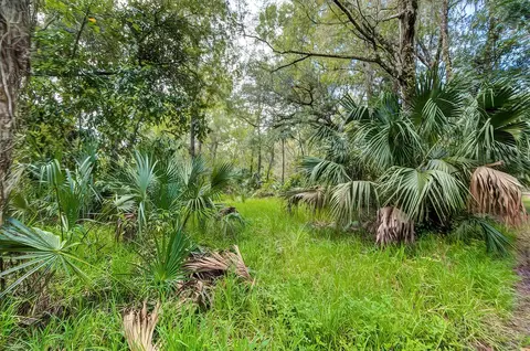 14902 Dead River Rd, Thonotosassa, FL 33592