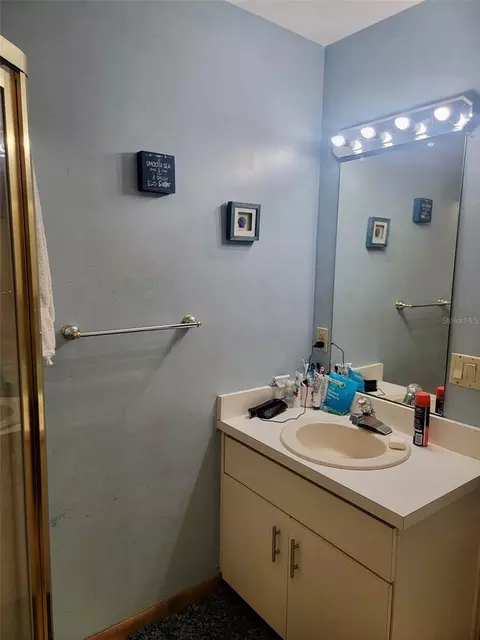 Bath - 585 E Foresthill Pl, Hernando, FL 34442 photo 3 of 4