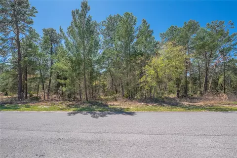 8 Heuchera Ct E, Homosassa, FL 34446