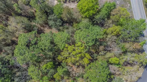 1 Pine St, Homosassa, FL 34446 photo 8