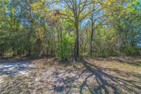 1 Pine St, Homosassa, FL 34446 photo 11