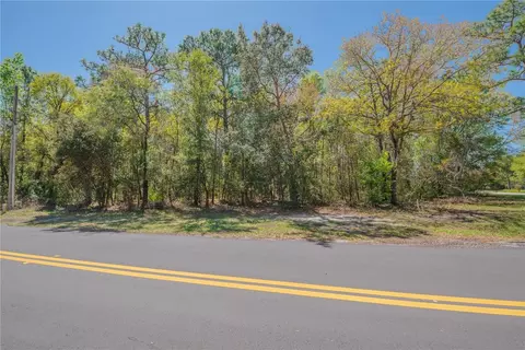 1 Pine St, Homosassa, FL 34446 photo 13