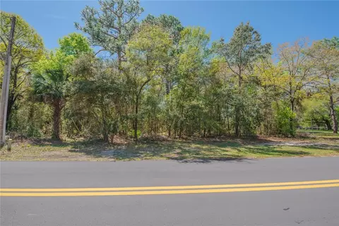 1 Pine St, Homosassa, FL 34446 photo 15