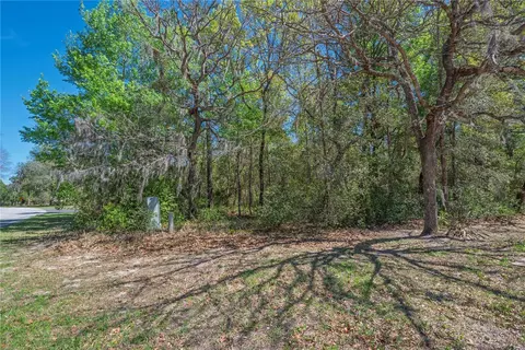 1 Pine St, Homosassa, FL 34446 photo 10