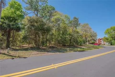 1 Pine St, Homosassa, FL 34446 photo 14