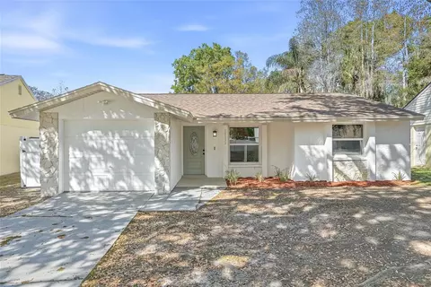16133 Sandcrest Way, Tampa, FL 33618