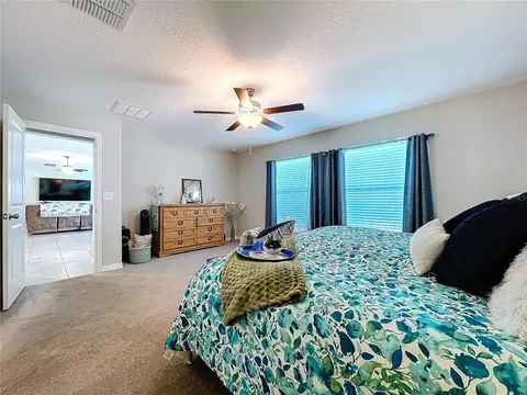 Bedroom - 197 Rain Berry Ave, Ruskin, FL 33570 photo 5 of 5